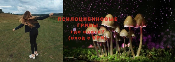не бодяженный Абаза